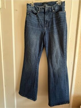 Banana Republic Medium Blue Curvy Slim Flare Wide Leg High-Rise Jeans 30/10